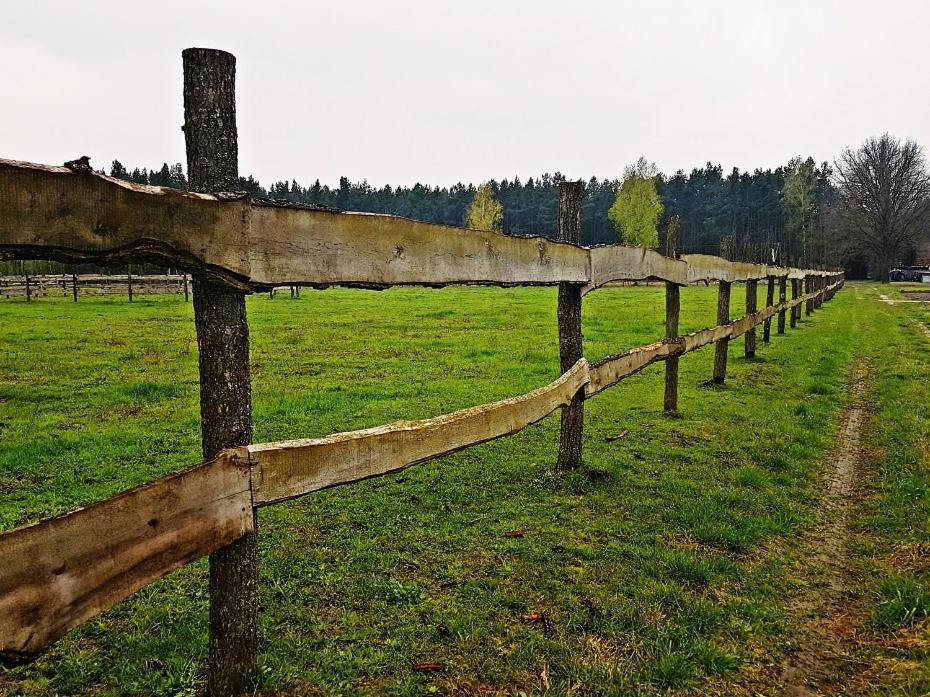 Agroturystyka Pod Modrzewiami Nowy Tomysl Exterior photo