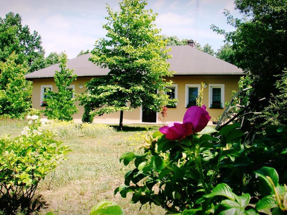 Agroturystyka Pod Modrzewiami Nowy Tomysl Exterior photo